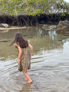 Isla Santa Cruz Dress, Olive Check